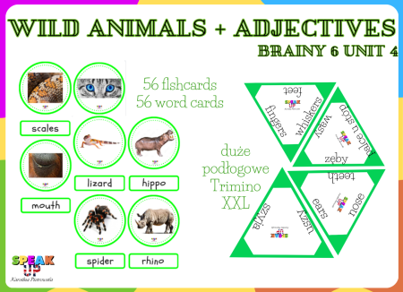WILD ANIMALS + ADJECTIVES (Brainy 6 unit 4)