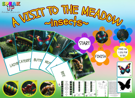 A VISIT TO THE MEADOW ~ INSECTS